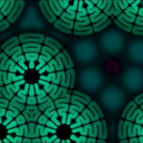 Meet your Posher, it's my Pleasure ! - Picture 11 of 16